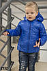 Куртка дитяча демісезонна плащівка на силіконі 98 104 110 116 122 128, фото 3