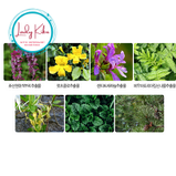 Ампула для звуження пор the Saem Power Ampoule Pore Tightening, 35ml, фото 8