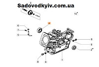 Підшипник для культиватора Oleo-Mac MH 150 RKS (L66150355)