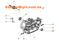 Сальник для культиватора Oleo-Mac MH 150 RKS (L66150326)