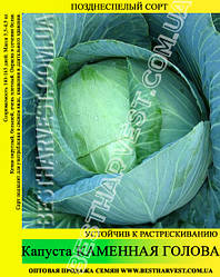 Насіння капусти Кам'яна Голова 0.5 кг, білокачанна