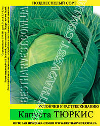 Насіння капусти Тюркис 0.5 кг, білокачанна
