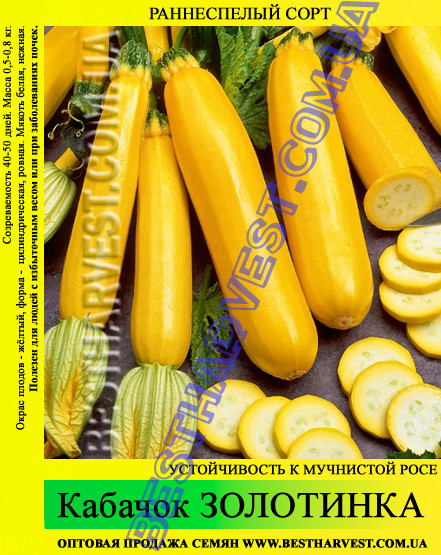 Насіння кабачка «Золотинка» 100 г