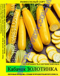Насіння кабачка Золотинка 0,5 кг