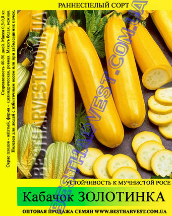 Насіння кабачка «Золотинка» 100 г, фото 1
