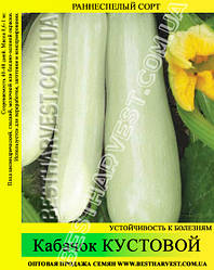 Насіння кабачка Кущовий 10 кг (мішок), ранньостиглий