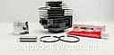Поршнева група на мотокосу 1E40F WINZOR PRO SERIA D.40mm, фото 4