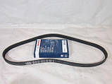 Ремінь генератора Ланос 1.5 з гідропідсилювачем BOSCH, фото 2