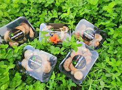 Вентиляція грибниць, автоматизація диспетчеризація