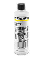 Піногасник Karcher Foam Stop Fructasia, 125мл (6.295-875.0)