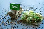 Льняні килимки для пророщування мікрозелені комплект - 4 шт., фото 2
