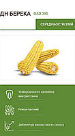 Семена кукурузы Берека ФАО 390 Маис Черкасы 2020, простой среднеранний гибрид, устойчив к засухе, холоду