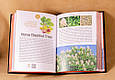 Книга "Interesting Ukraine / Kyiv" Вікторія Угрюмова в шкіряній палітурці  (англійською мовою), фото 4