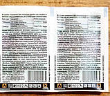 Інсекто-акарицид Актеллік 100 мл., Syngenta, фото 6