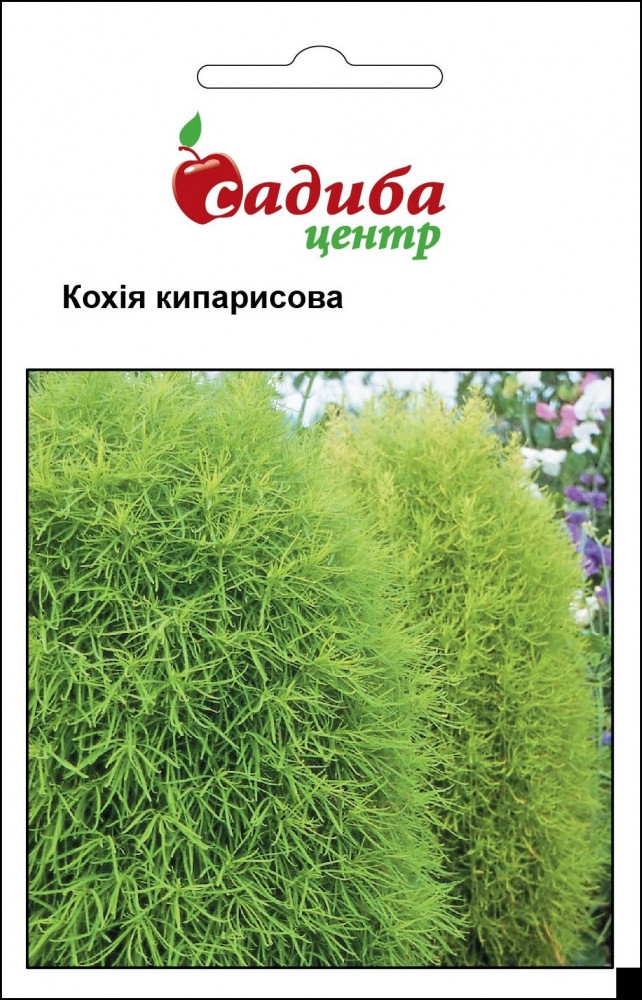 Кохія кипарисова 0.5 гр. Садиба Центр, фото 1