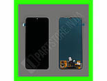 P Smart S