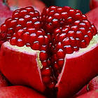 Саджанці граната Кизил-анор (4-х річний) - раннього терміну дозрівання, невибагливий, зимостійкий, фото 5