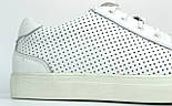 Білі чоловічі літні кросівки шкіряні кеди взуття великих розмірів Rosso Avangard Puran WhitePerfLeath TPR BS, фото 7
