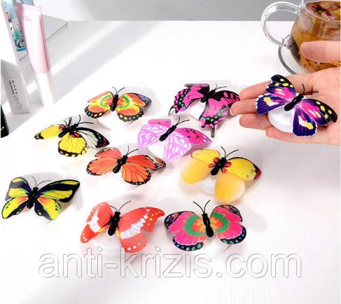 Міні-нічник «Метелик»