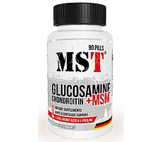 Glucosamine Chondroitin + MSM + hyaluronic acid 90 pills