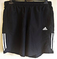 Шорти чоловічі Adidas Climalite (Розмір 52 (XL))