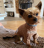Легкий весенний свитер для маленьких и средних собак в бежевом цвете
