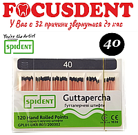 Гутаперчевые штифты конус.02 Spident (Guttapercha) 120 шт., в асортименте от 10 до 80