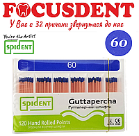 Гутаперчевые штифты конус.02 Spident (Guttapercha) 120 шт., в асортименте от 10 до 80