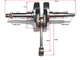 Колінвал в зборі на 2 - х тактний ланцюговий двигун TB-60., фото 2