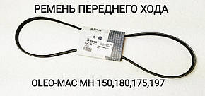 Ремінь переднього ходу для культиватора Oleo-Mac MH 150 RKS (YF1231609)