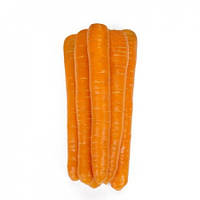Насіння моркви Морелія (Morelia) F1, 100000 шт., (1,6-1,8 мм), Нантес тип