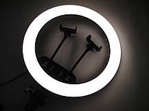 Кільцева LED лампа 39см 220V 220V 2 кріплення + пульт LS-360, фото 5