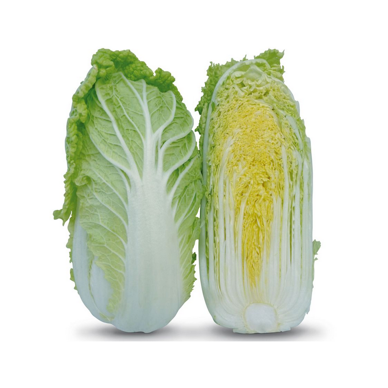 KS 399 F1 - насіння капусти пекінської, Kitano Seeds