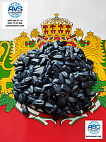 Кондитерка на посів. Соняшник ГЕРАКЛ 36ц/га, 114днів, вовчок A-F. (1 репр-ція), фото 5