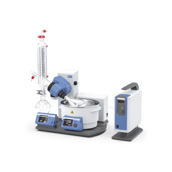 RV 10 auto pro V