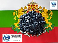 Соняшник Кондитерський (ГЕРАКЛ) 114днів. Врожайний 36ц/га, шість рас вовчка A-F. (1-ша репродукція), фото 10
