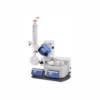 RV 10 digital V