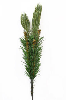 Гілка №2 Yes! Fun, зелена ялинкова новорічна 904237 G-Rich