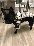 Зимовий комбінезон для собак — теплий, стильний і зручний - розмір 10, фото 7
