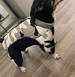 Зимовий комбінезон для собак — теплий, стильний і зручний - розмір 10, фото 4