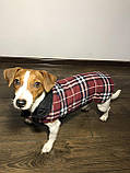 Куртка для собак двостороння, одяг для собак, фото 8