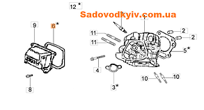 Прокладка кришки циліндра для культиватора Oleo-Mac MH 180 RKS (L66150278)