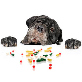 Вітаміни і Кормові добавки для собак