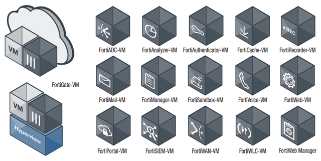 Комплексная линейка виртуальных устройств безопасности Fortinet поддерживает более 16 решений.