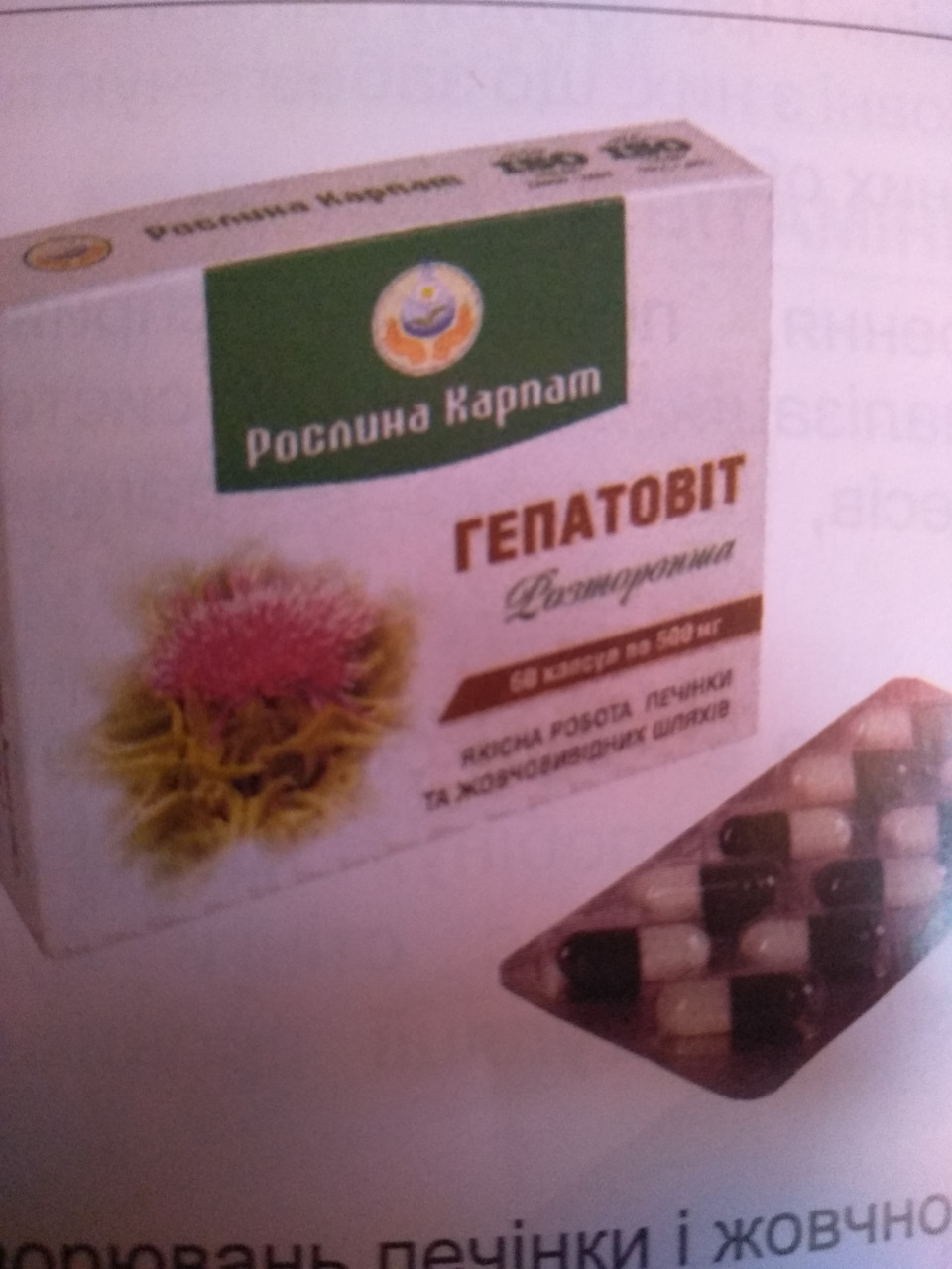 Гепатовіт для печінки, підшлункової 2 шт. по 60 капсул