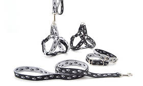 Амуніція для собак