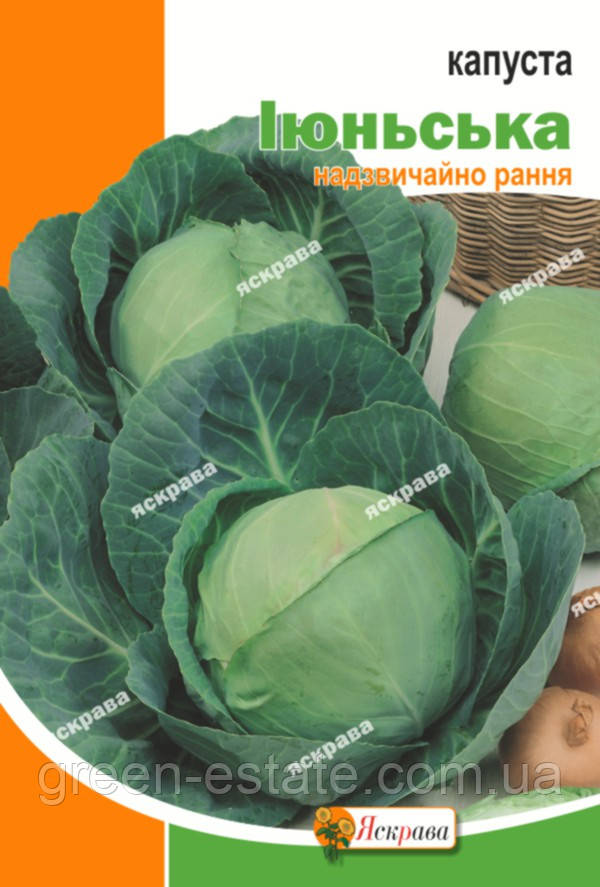 Капуста Червнева 5 р.