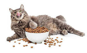 Сухі корми для кішок