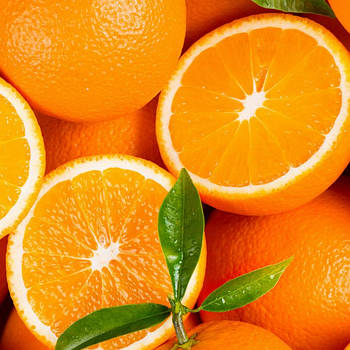 Саджанці апельсина