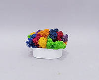 Яскравий мікс кольорового стабілізованого живого моху в дизайнерському горщику кашпо для декору ручної роботи